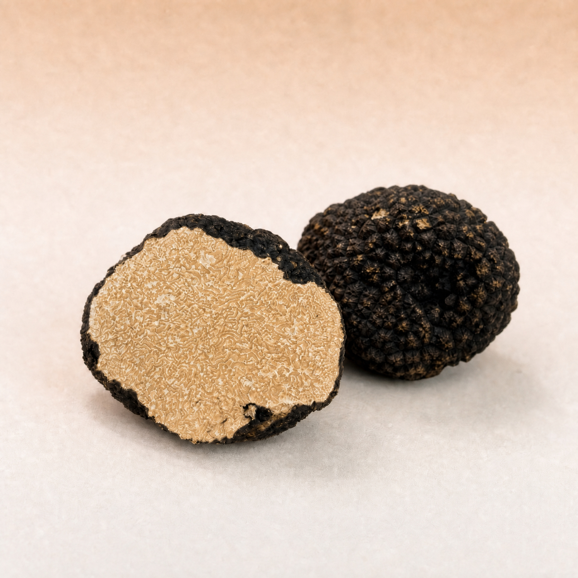 Tartufo nero estivo