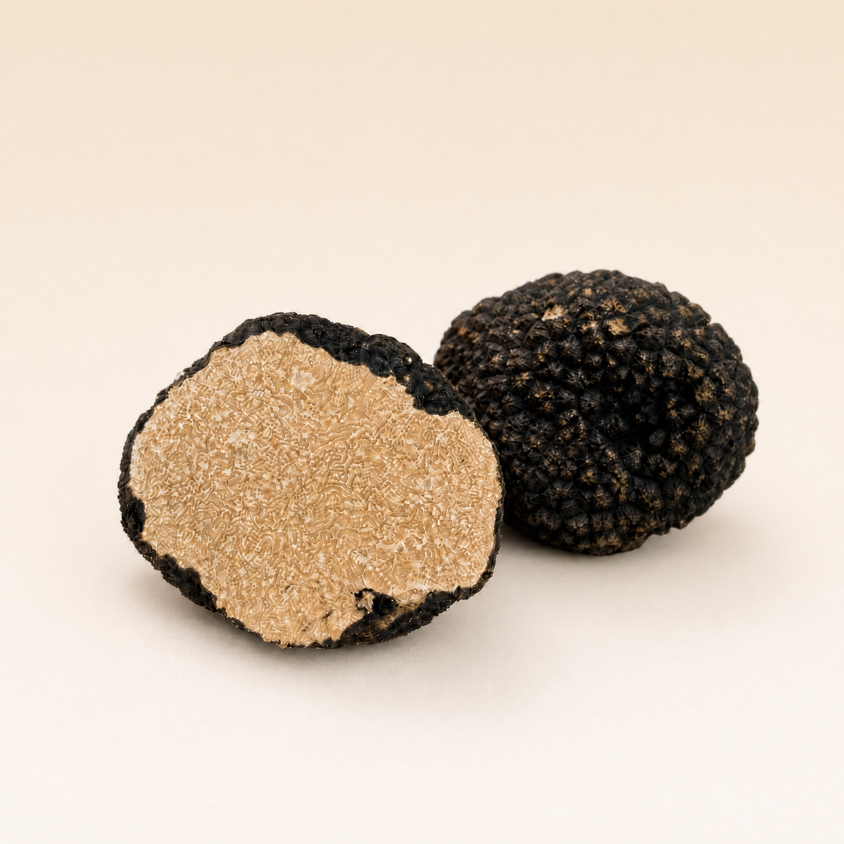 Tartufo nero estivo