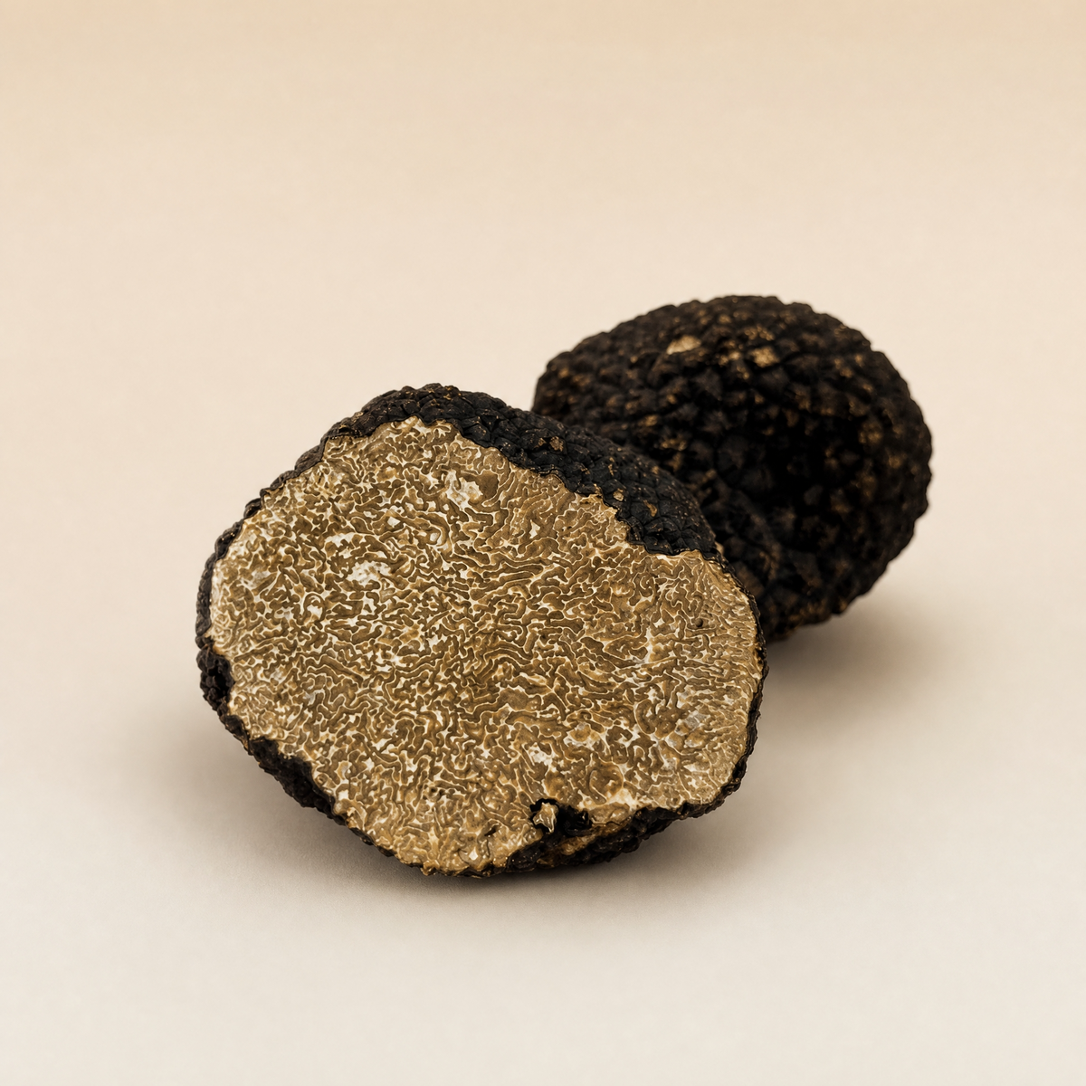 Tartufo Nero Uncinato