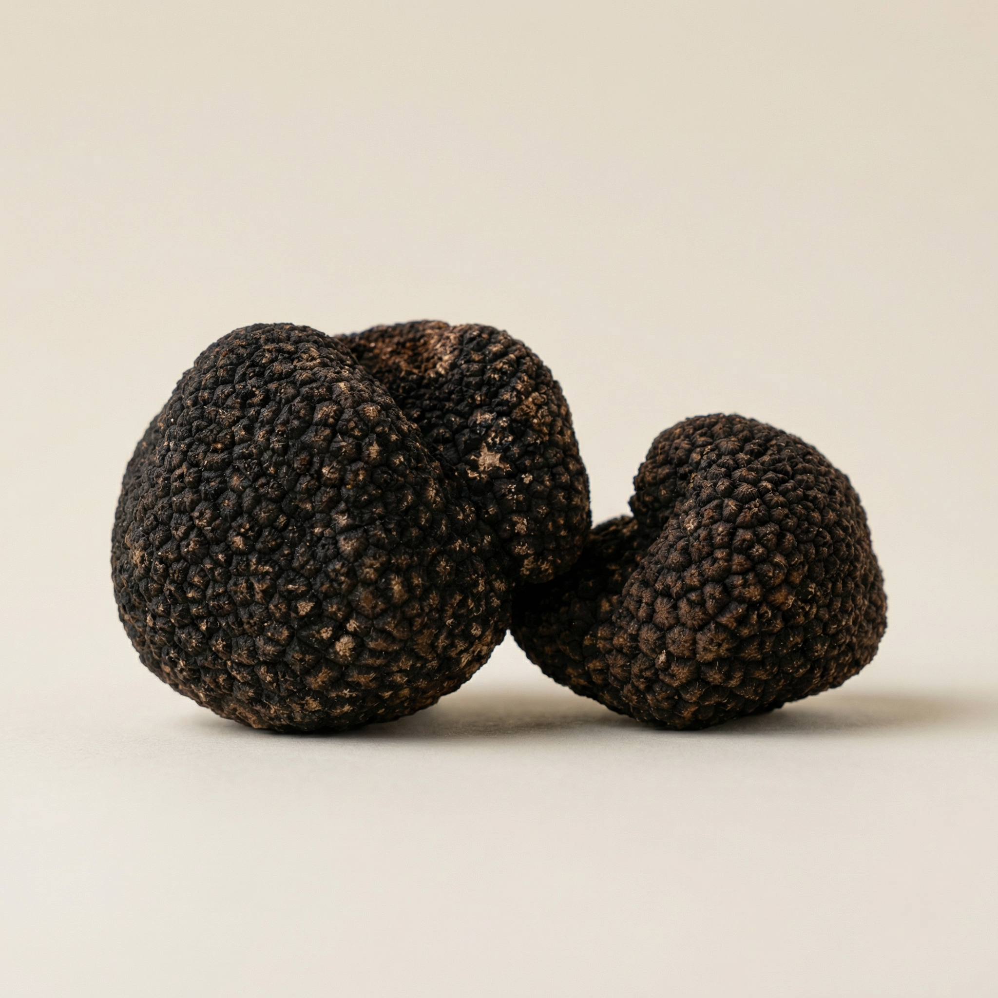 Tartufo Nero Uncinato