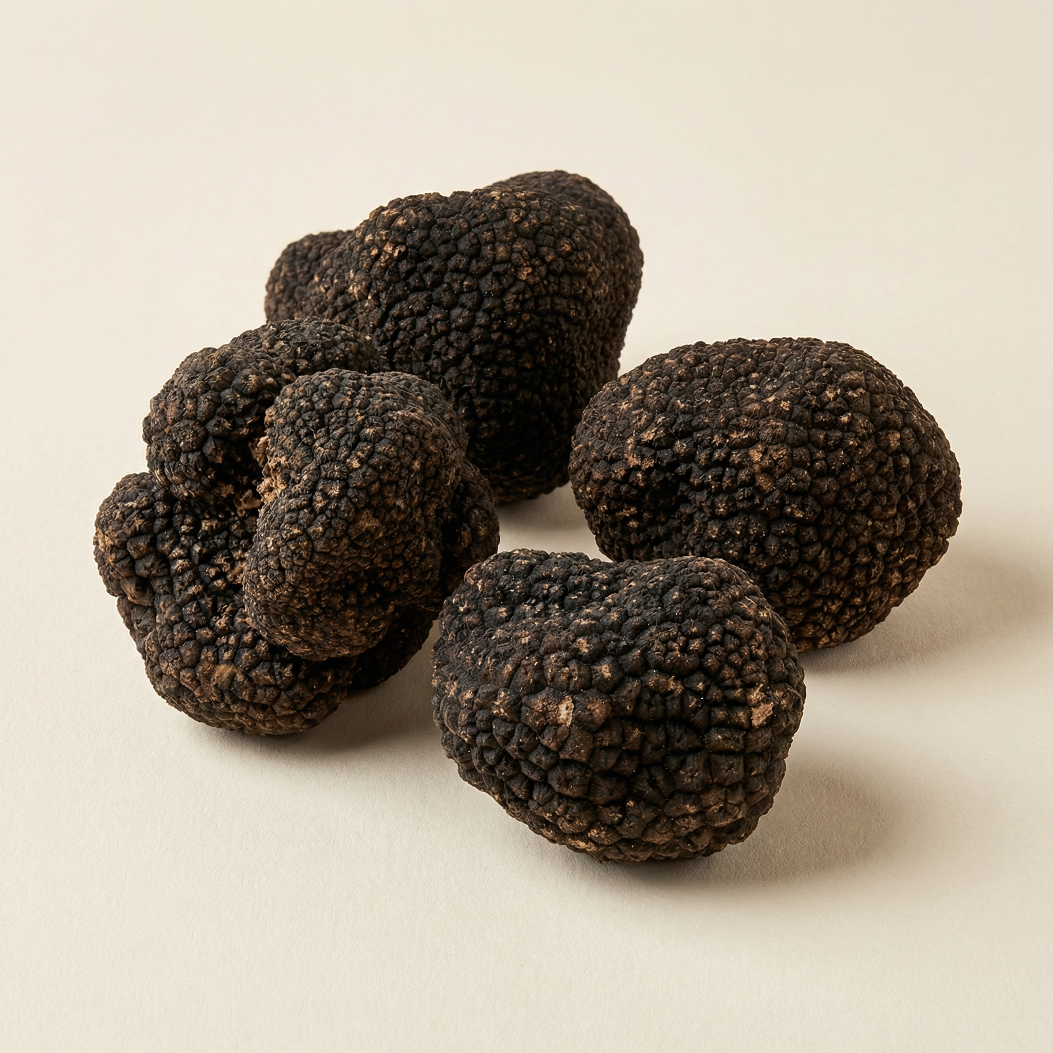 Tartufo Nero Uncinato
