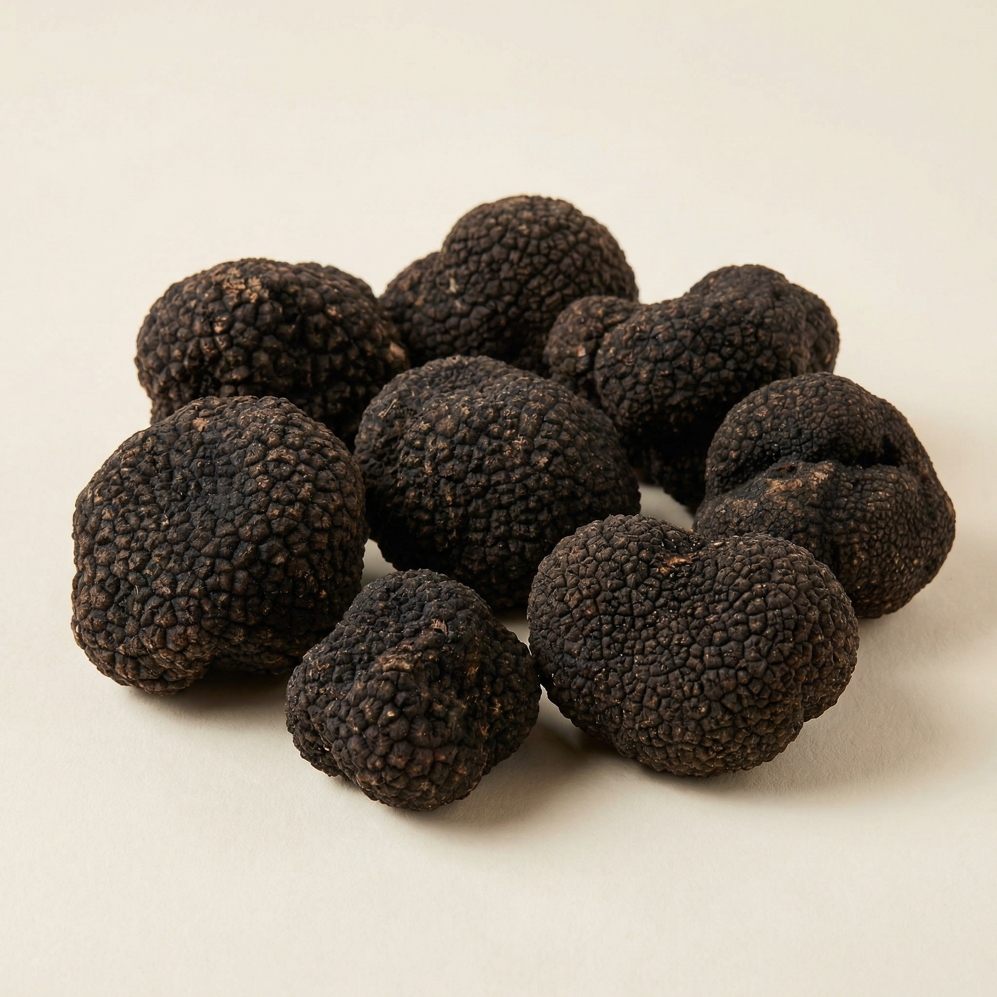 Tartufo Nero Uncinato