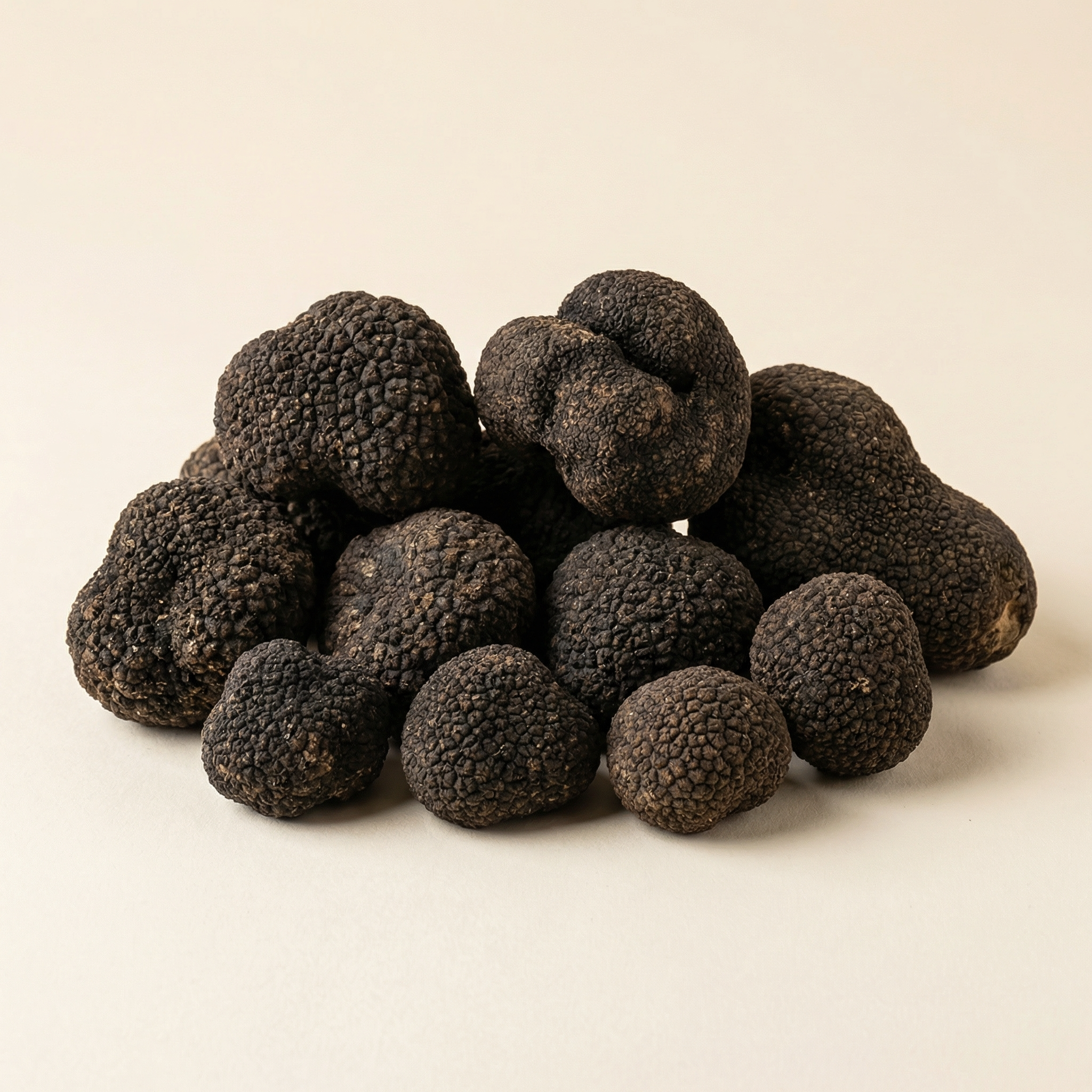 Tartufo Nero Uncinato